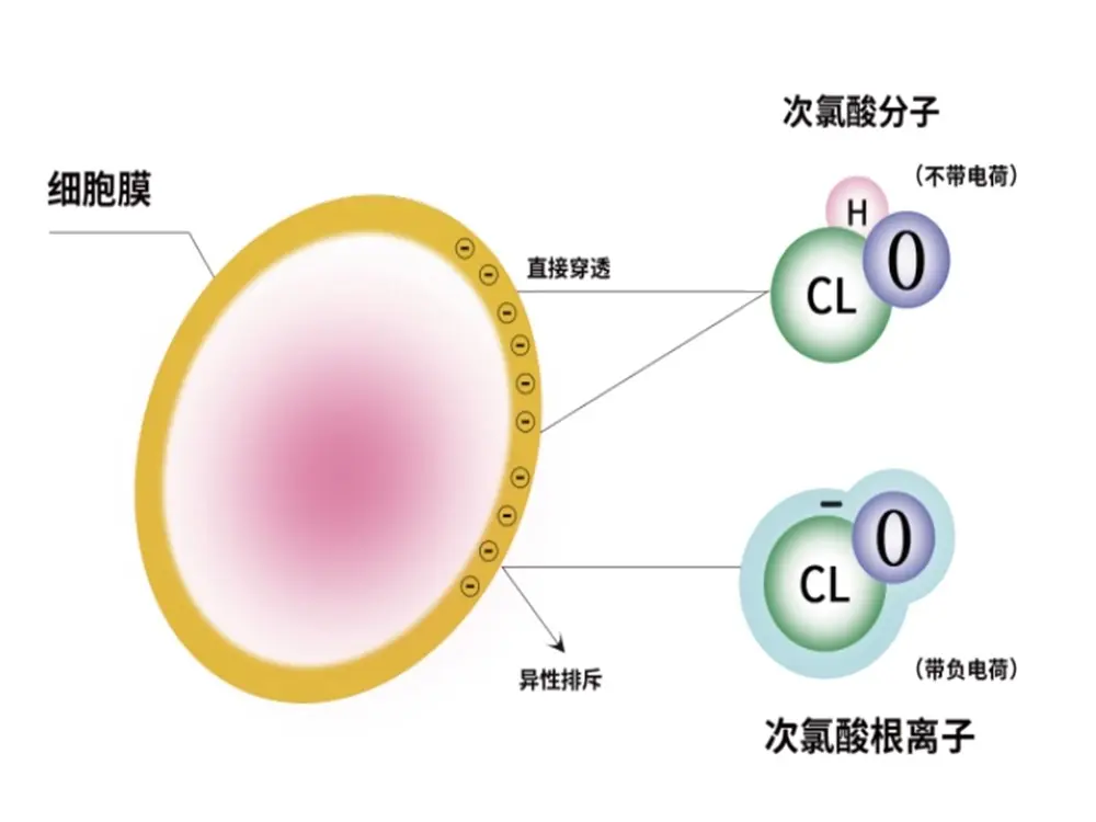 次氯酸发生器在国际上认证